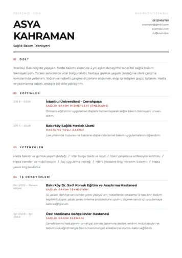 Sağlık Çalışanı Cv Örnekleri cv indir